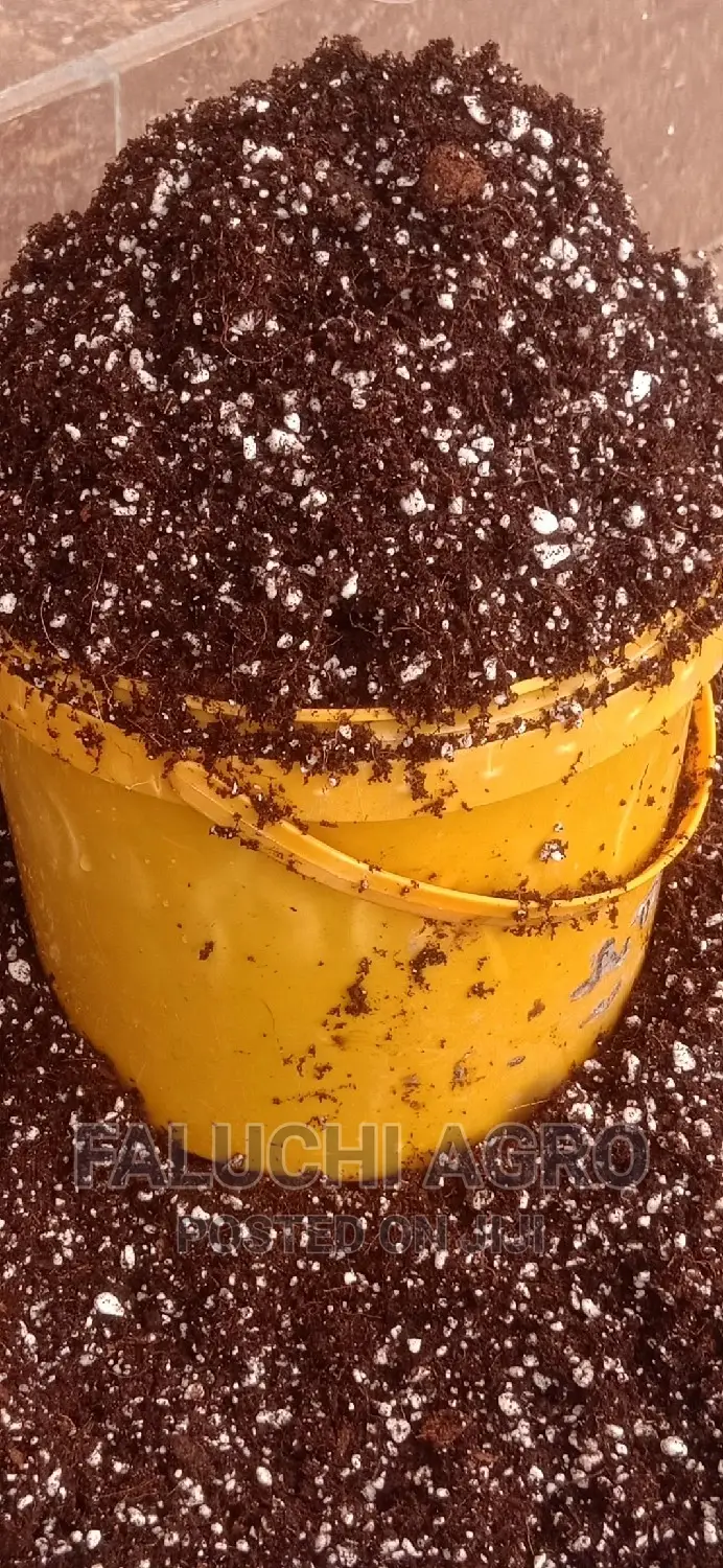 Organic Potting Mix (Potting Soil)- For Your Planting Needs