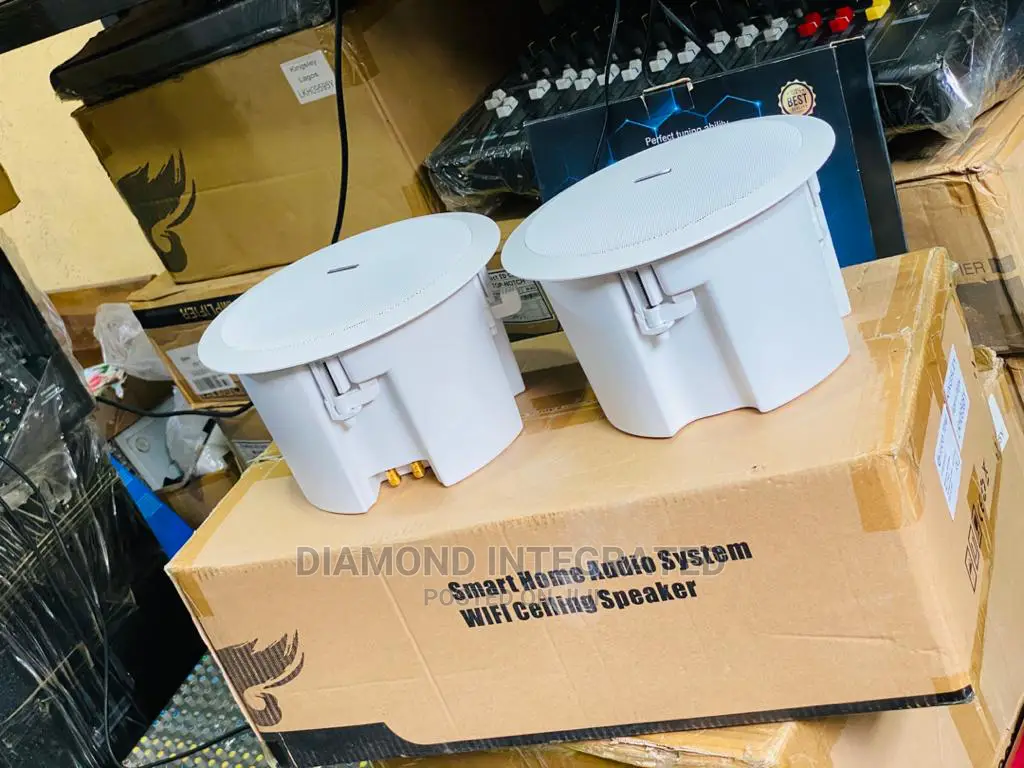 Bose 2 in 1 Wifi Ceiling Speaker