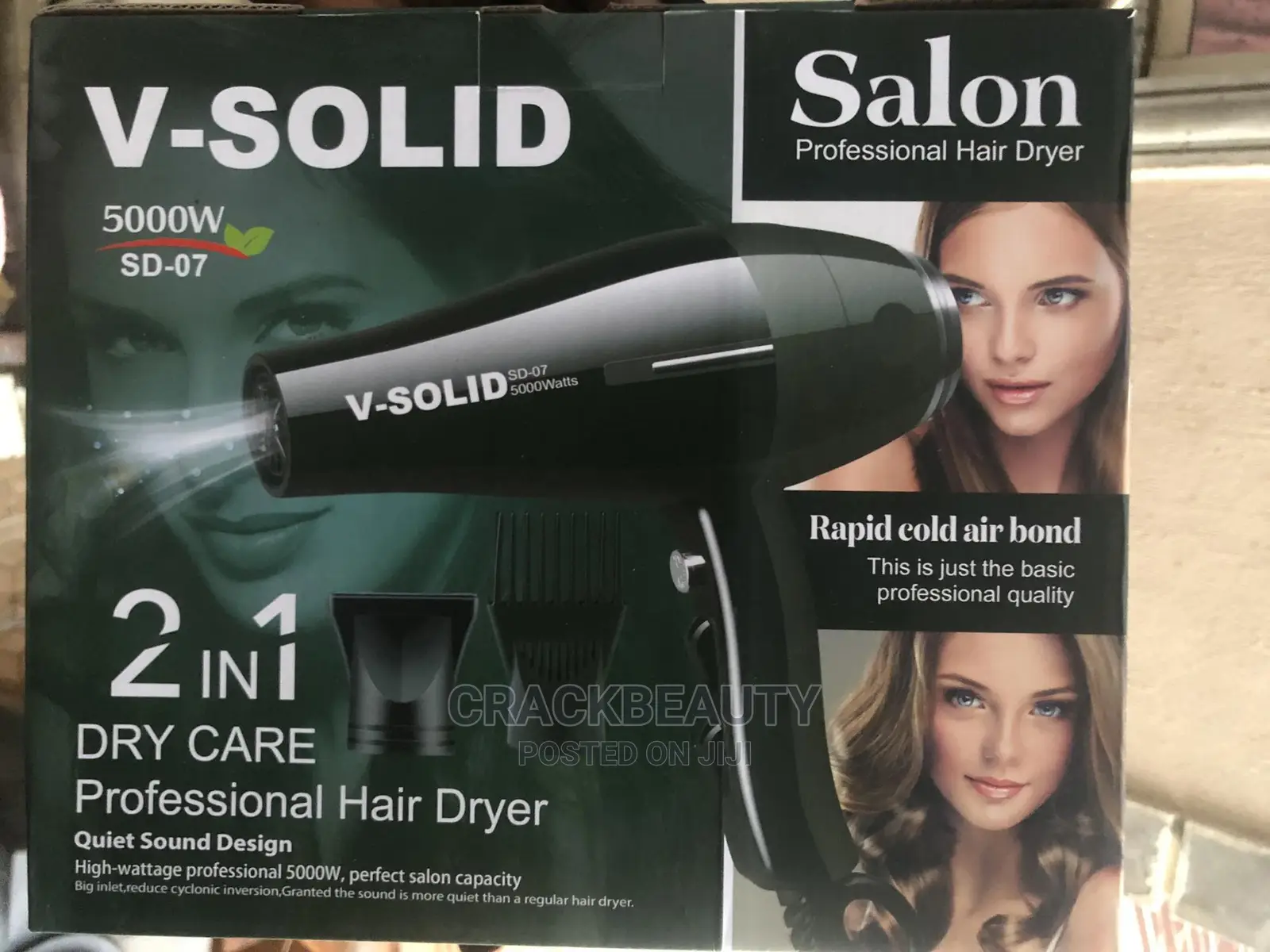 2 in 1 Professional Hand Held Hair Dryer