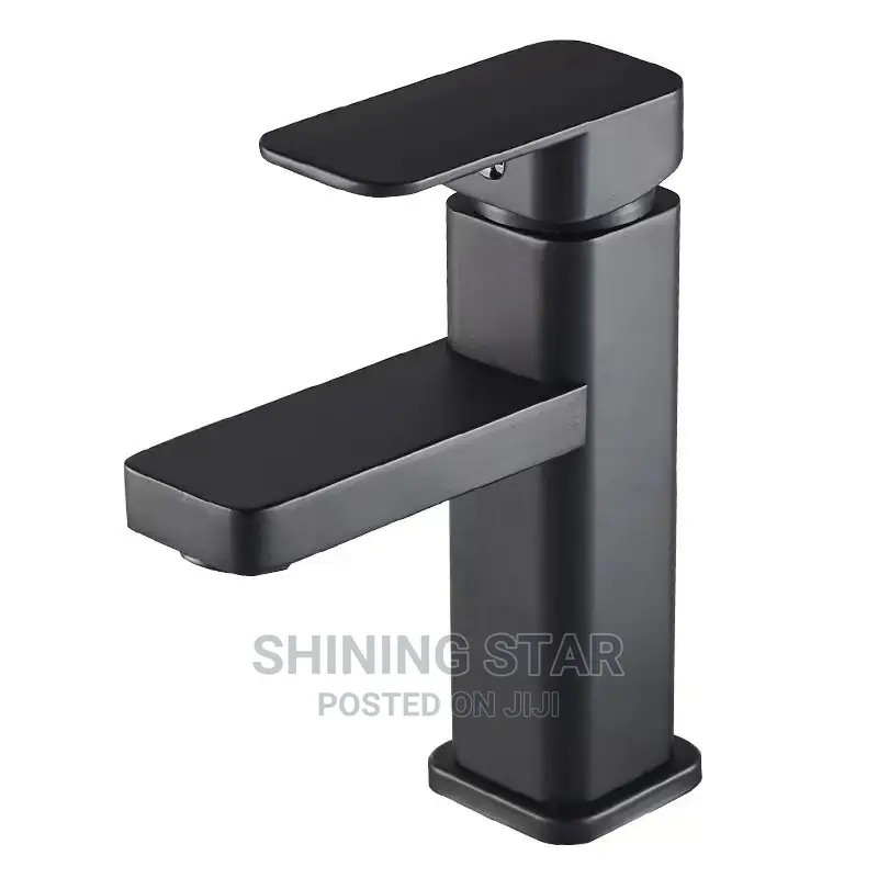 Executive Hot and Cold Basin Faucet