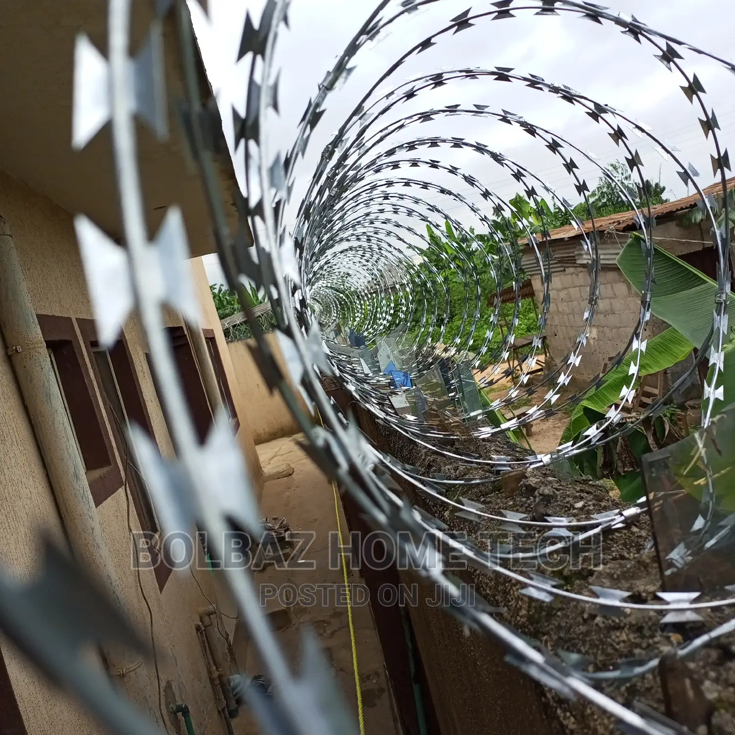 American Concertina; Security Wire