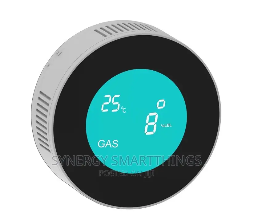 Smart Gas Leak Detector