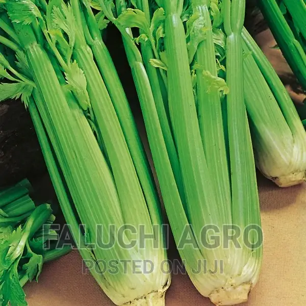 Celery Seeds