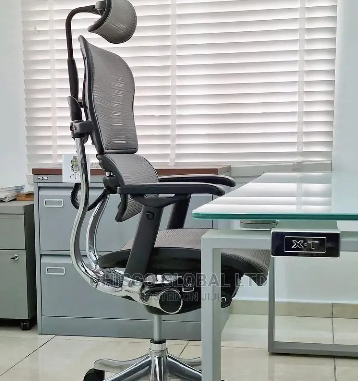 Office Chair (Orthopedic)