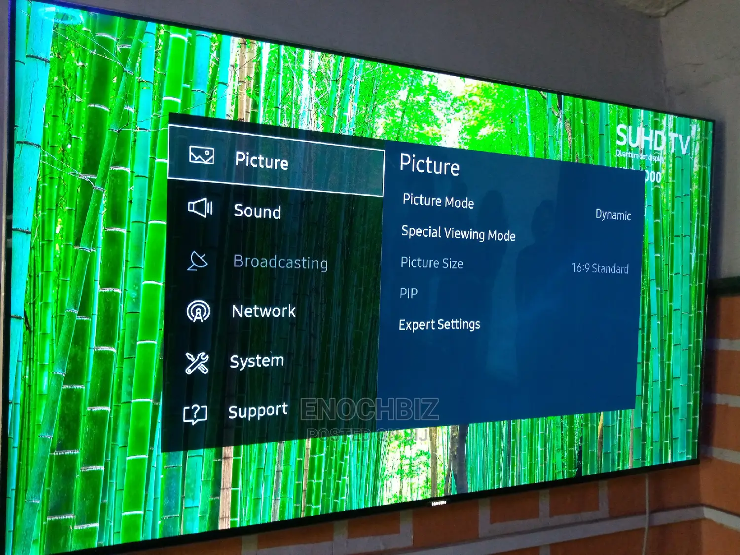 Samsung HDR 55 Inches
