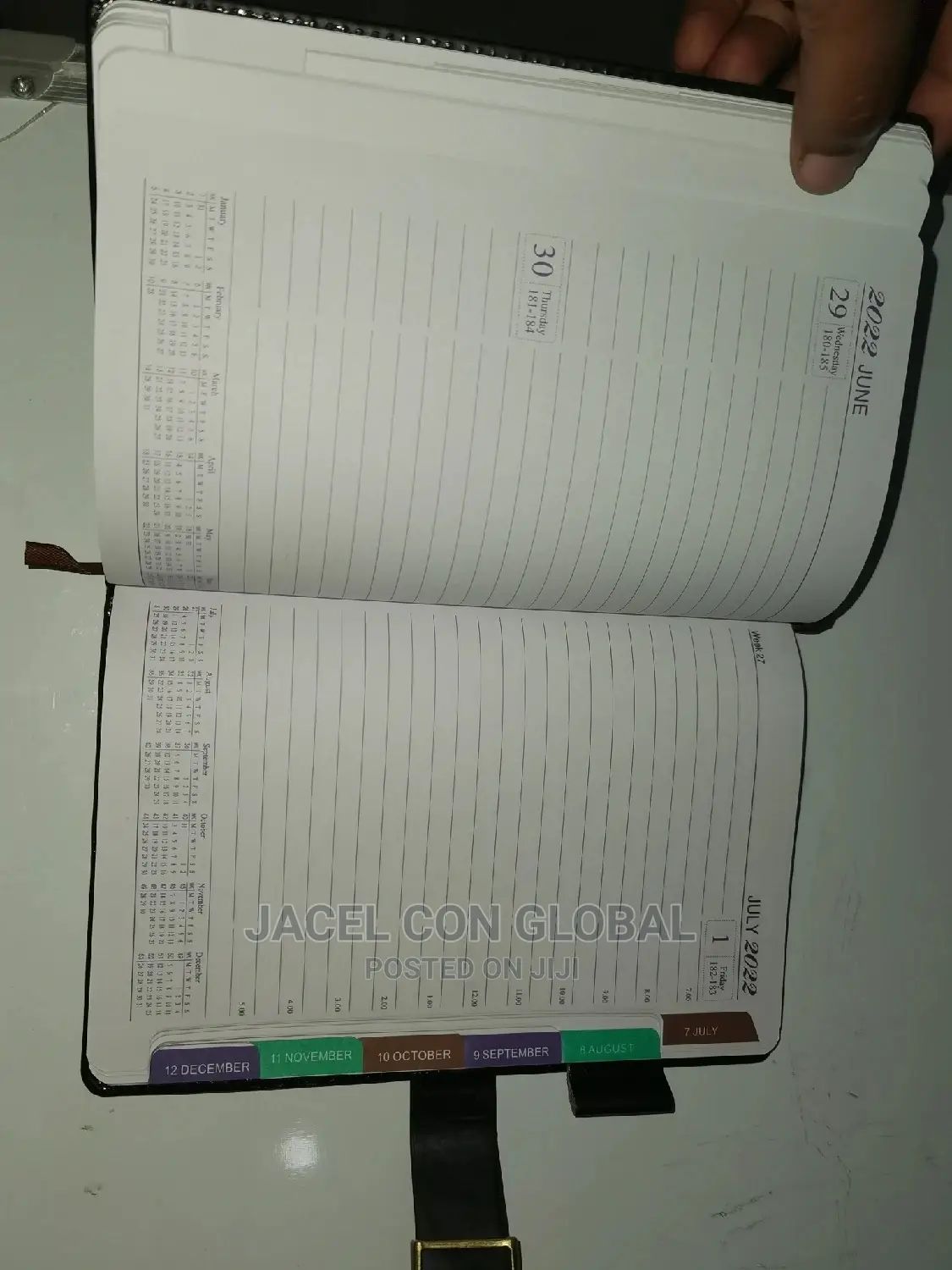 2022 Diary (Medium Size)