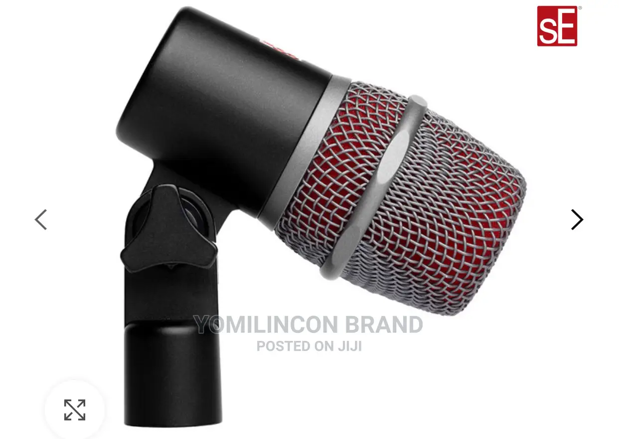 Se Electronics v Beat Dynamic Microphone