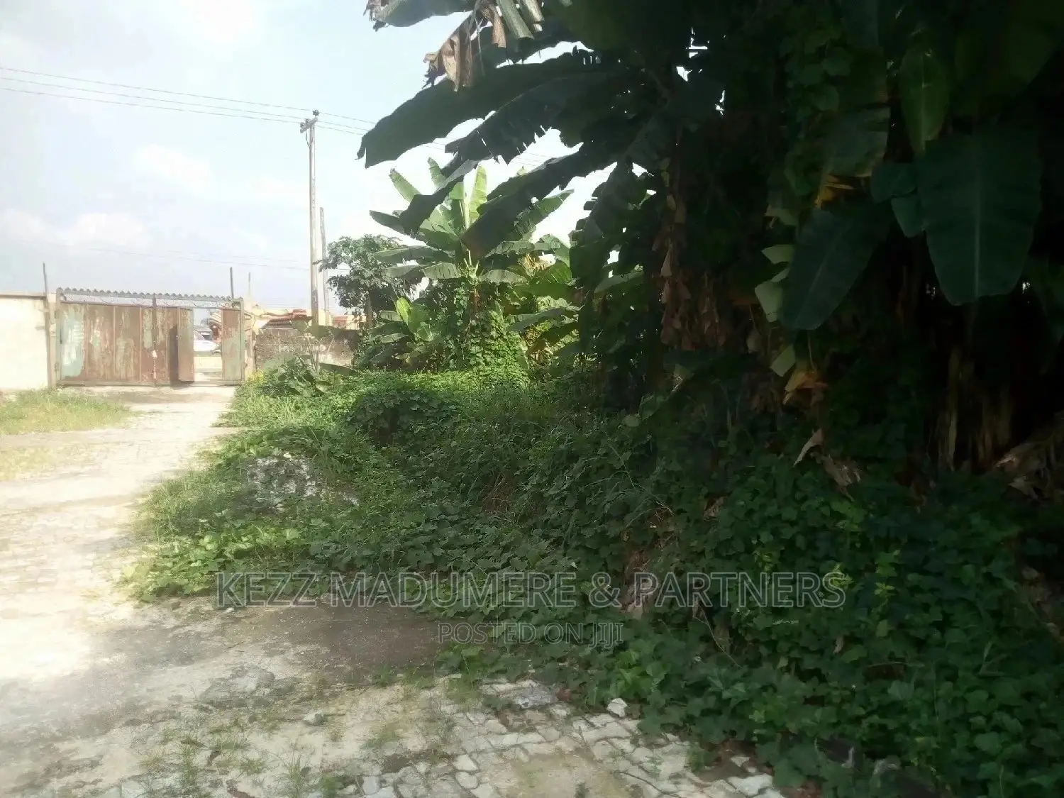 For Sale: 1 Plot of Land at Coconut, Rumuodomaya, Ph