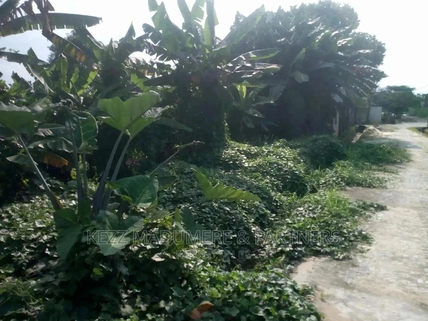 For Sale: 1 Plot of Land at Coconut, Rumuodomaya, Ph