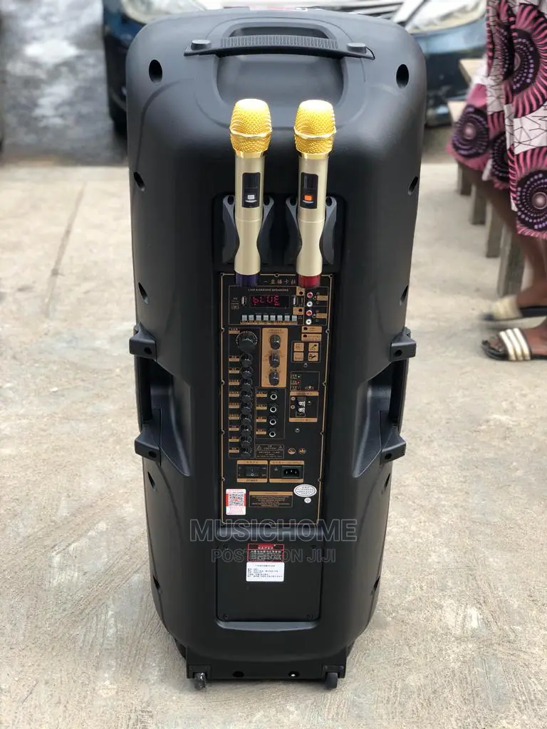 Rechargeable Bluetooth P.A System With 2mics