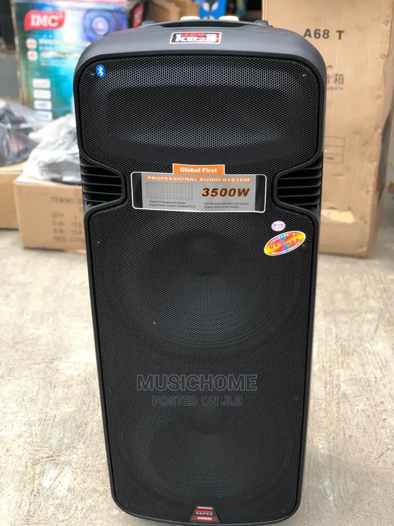 Rechargeable Bluetooth P.A System With 2mics