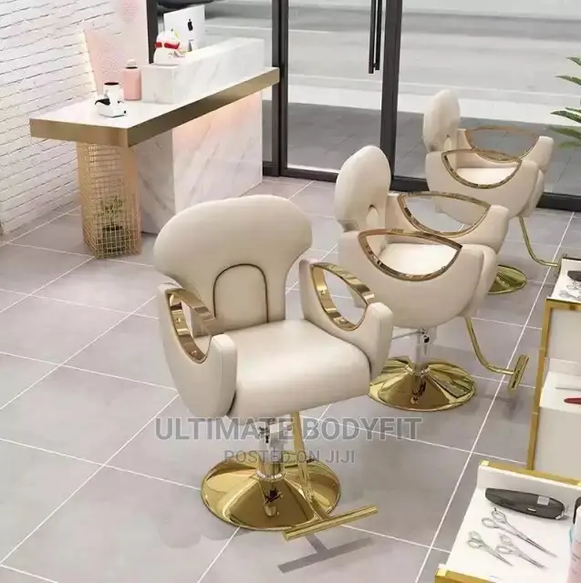 Brand New Styling Saloon Chair