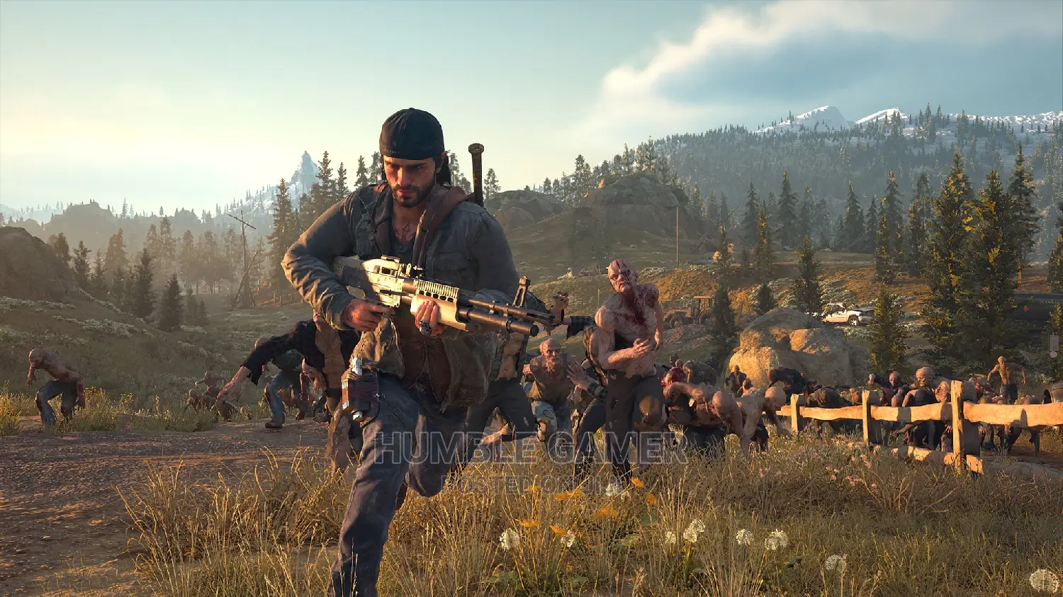 Days Gone DVD/CD Game Discs For PC And Laptops Available