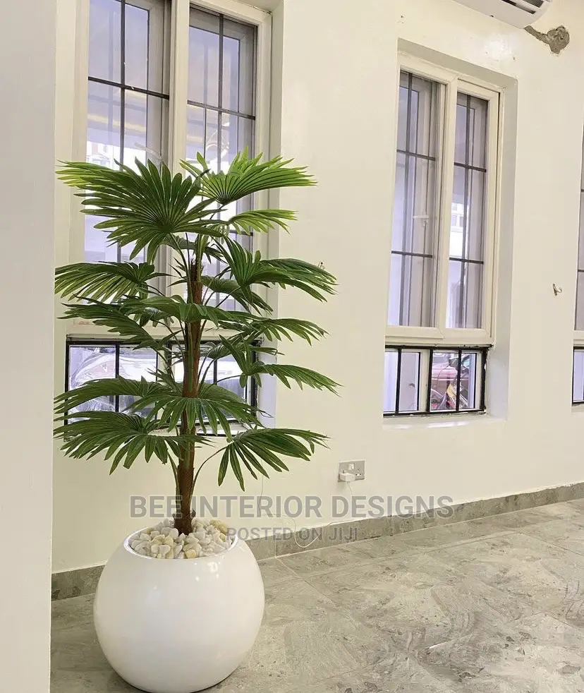 Plants and Planters