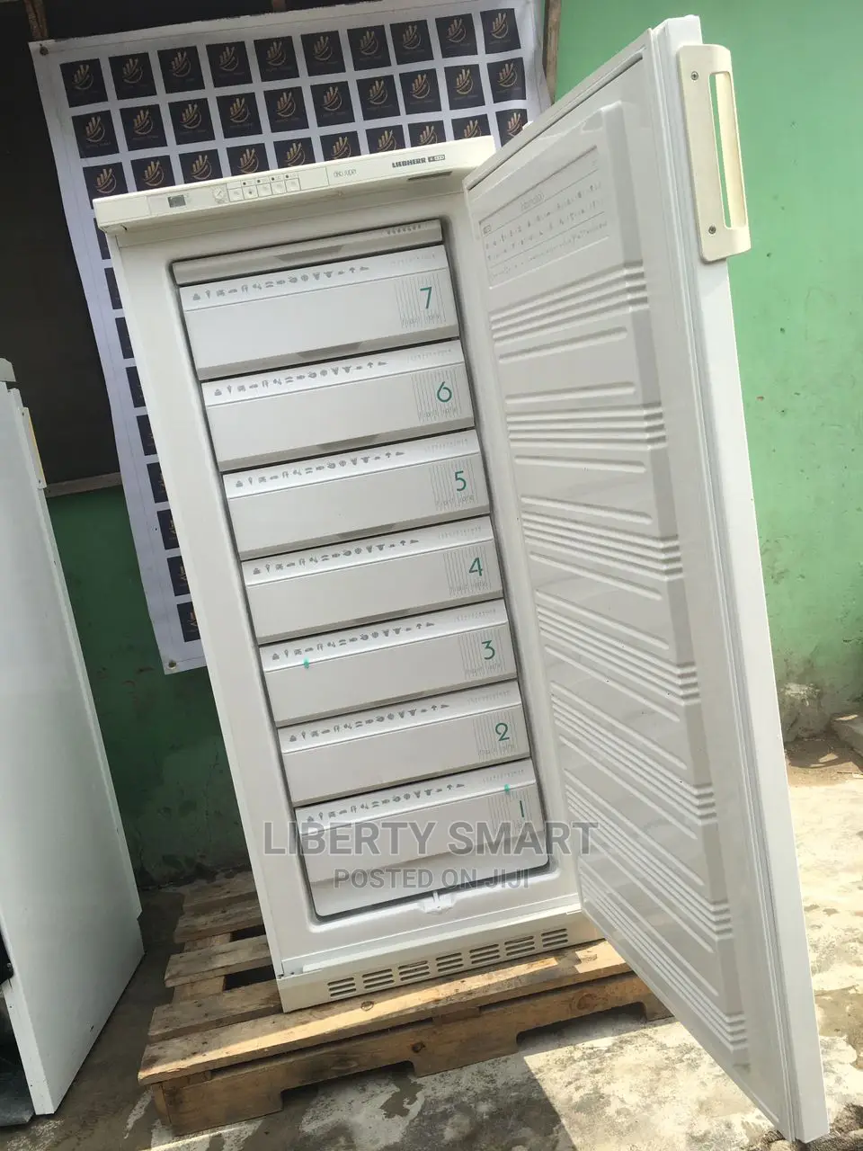 Liebherr Oko-Super Standing Freezer (Ice-Block)