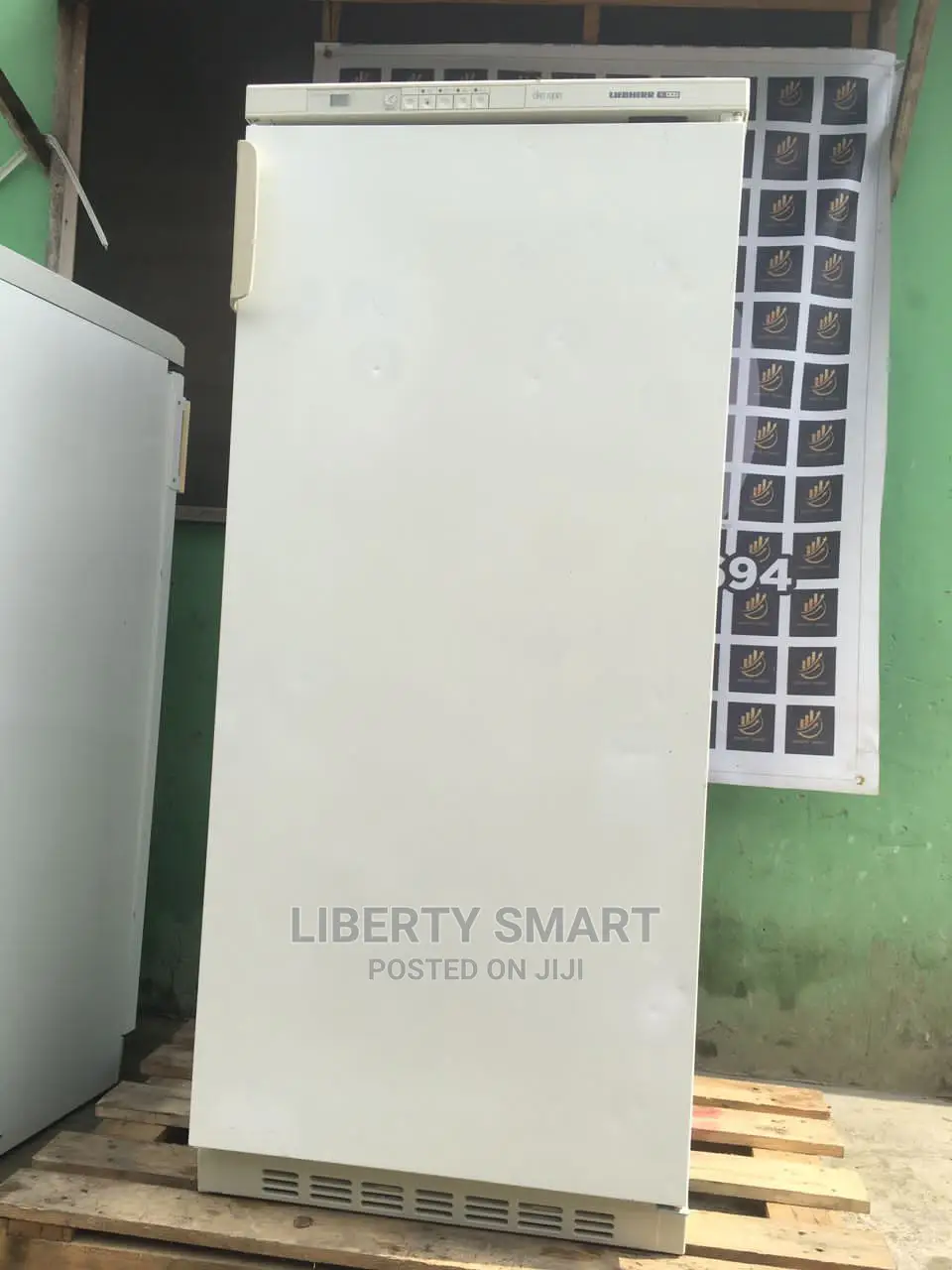 Liebherr Oko-Super Standing Freezer (Ice-Block)