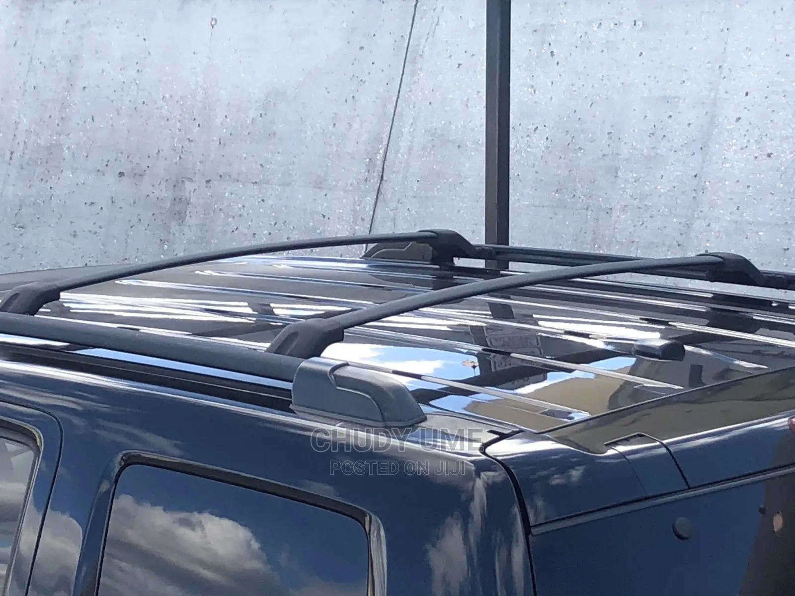 Crossing Roof Rack Pilot 2012