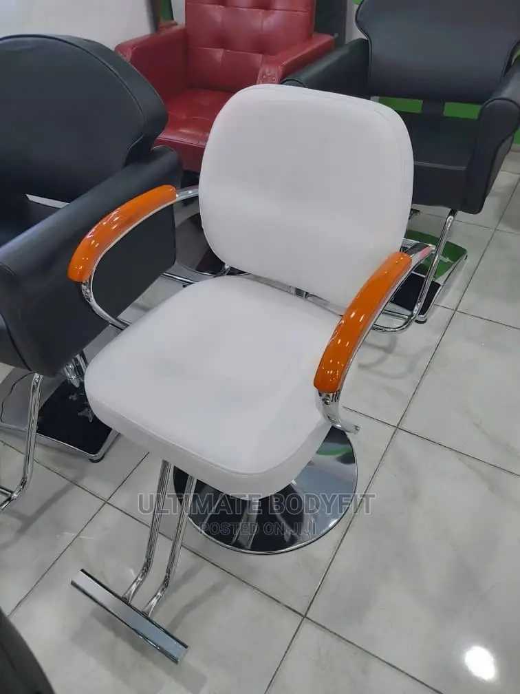 Brand New Salon Chair
