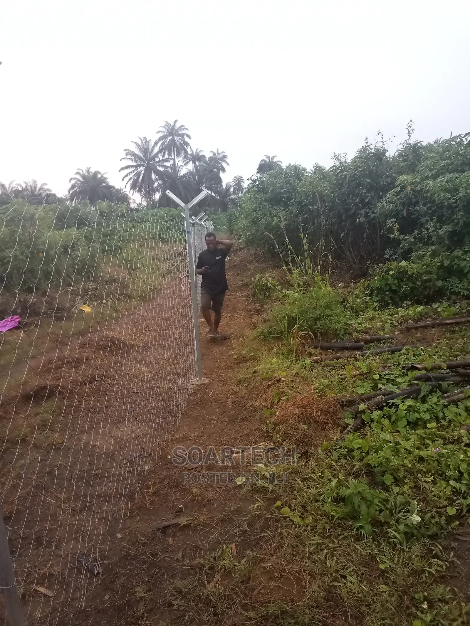 Barb Wire And Chain Link Fencing