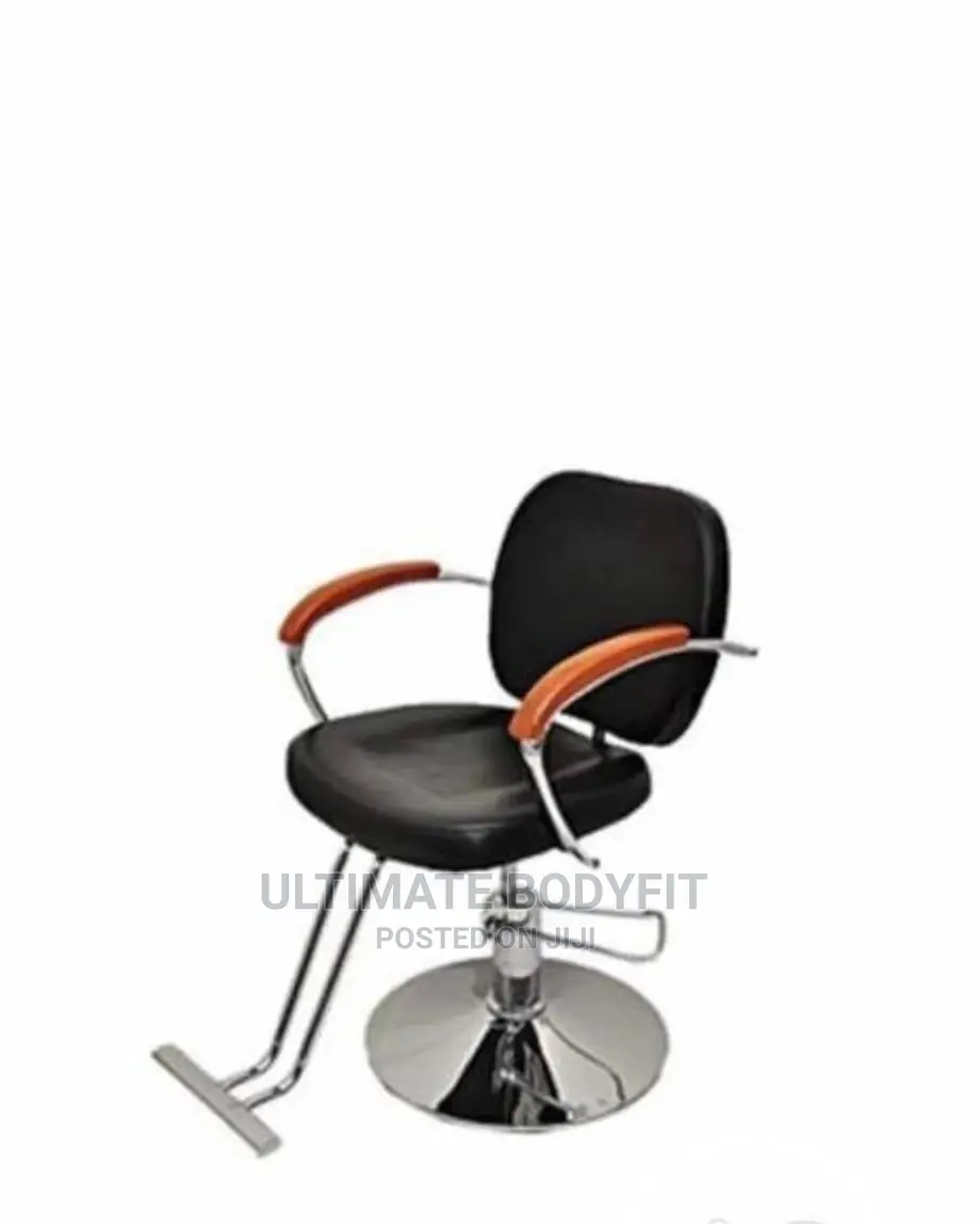 Brand New Salon Chair