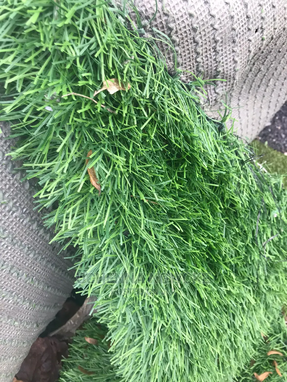 Quality Stock Europe Grass