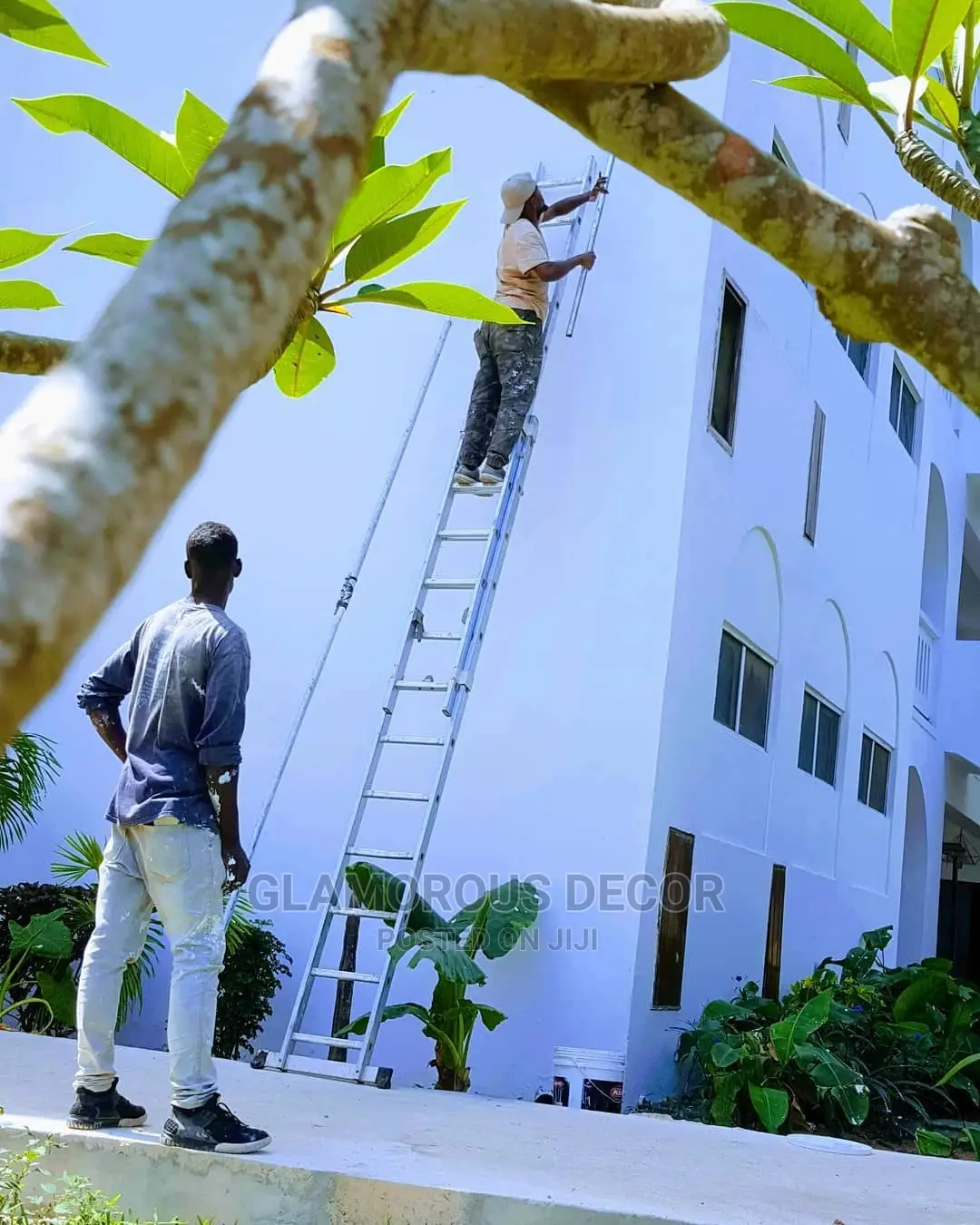 Professional House Paintings
