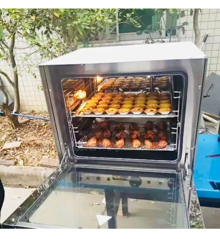 Multi_purpose Industrial Bake,Steam,Grilling Ovens (2ft,3ft)