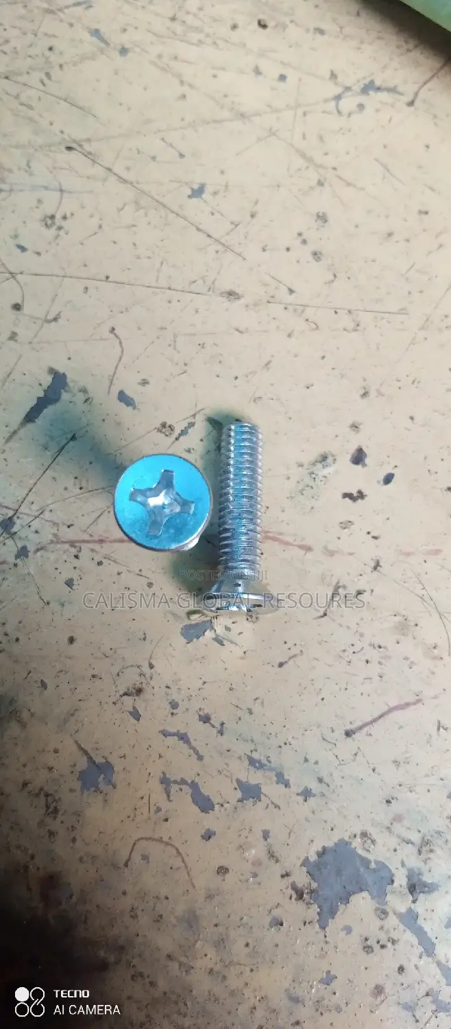 Screw Bolt and Nut