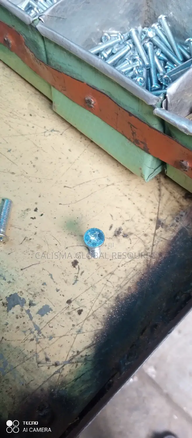 Screw Bolt and Nut