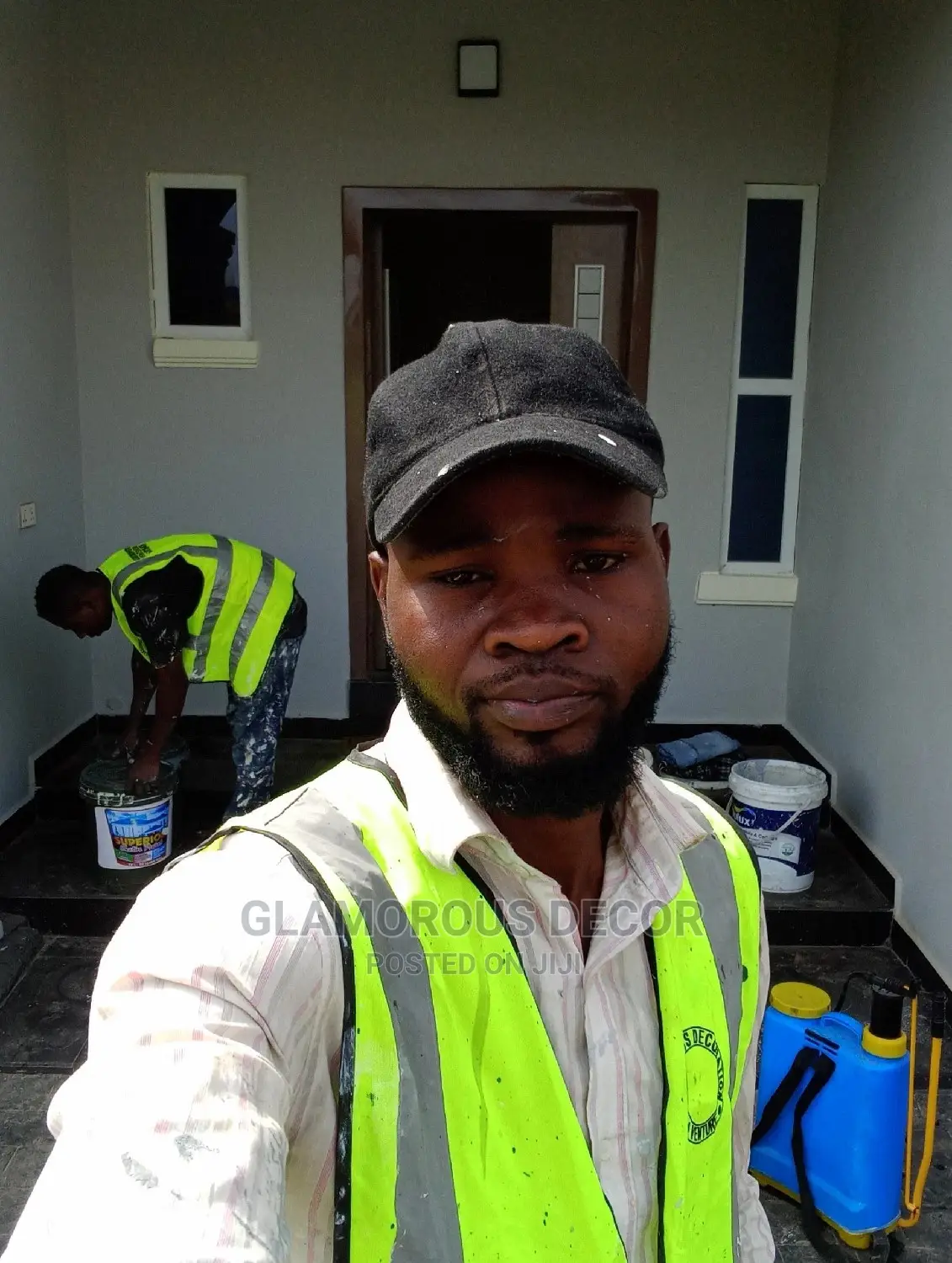 Professional House Paintings
