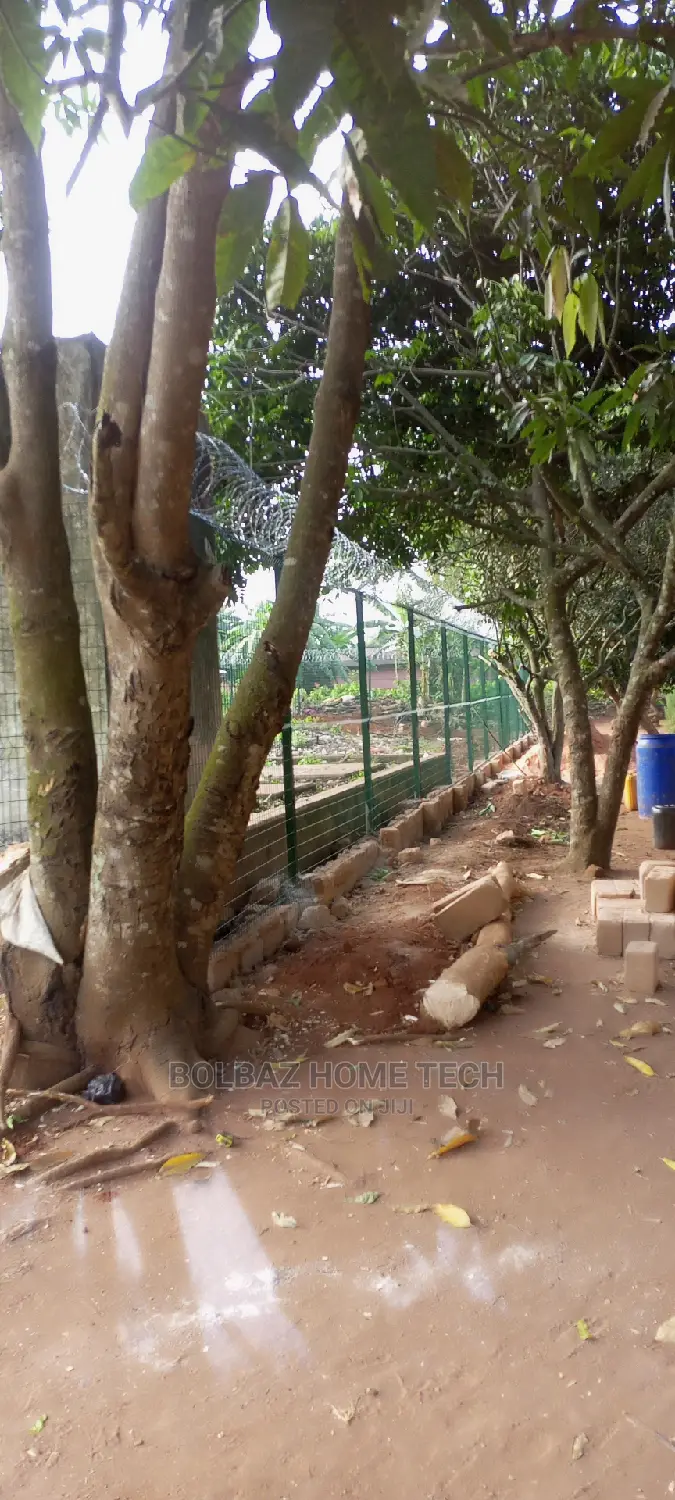 See-Through Fence and Razor Barb-Wire; Panel Fence Mesh.