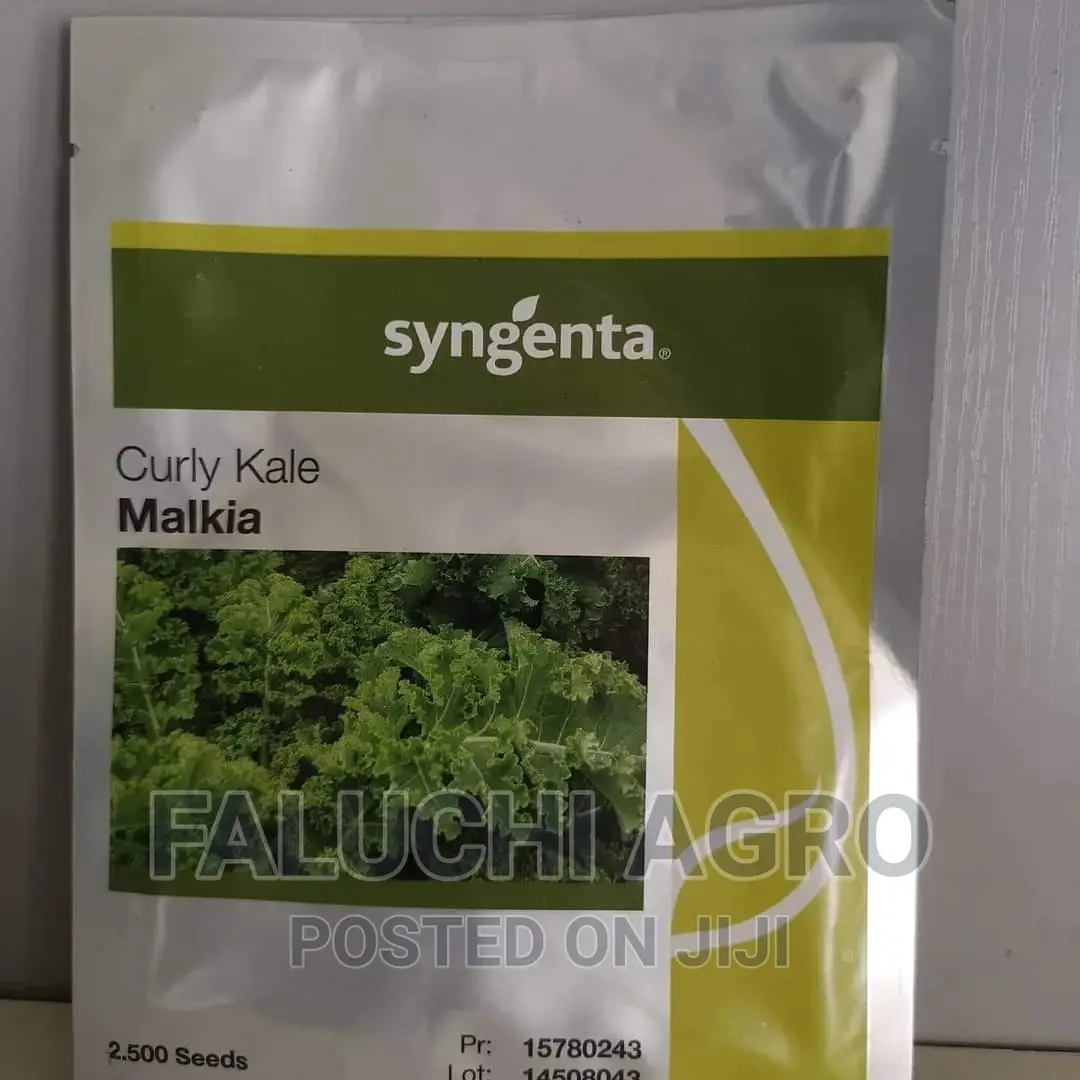 Curly Kale Seeds (2500 Seeds)