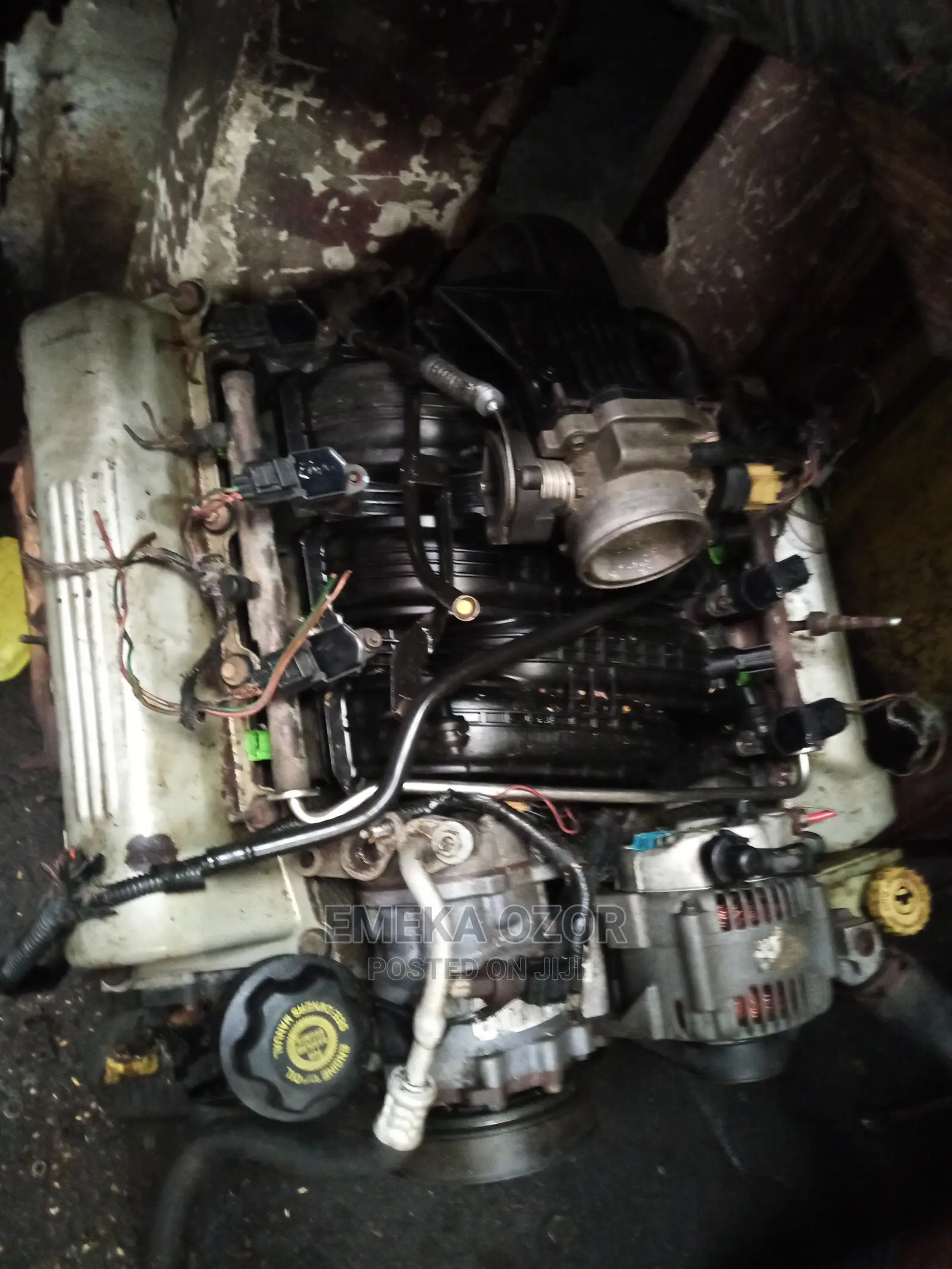 Ford Liberty Engine 2004/2005 Model V.6 Plugs