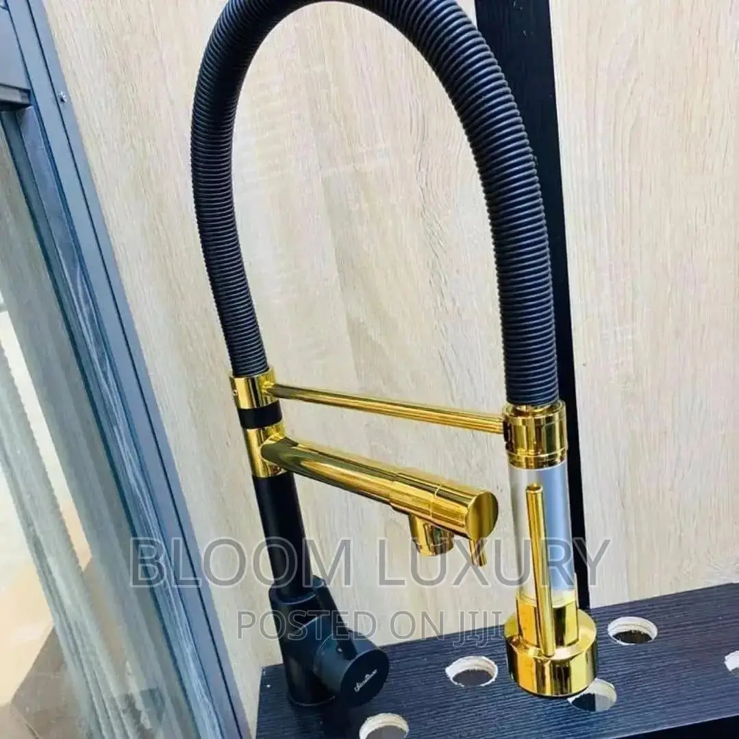 Black and Gold Sink Faucet