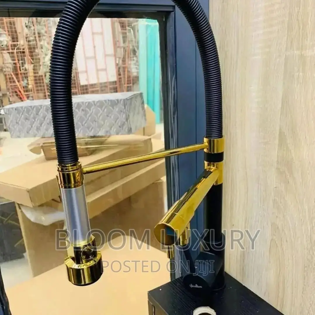 Black and Gold Sink Faucet
