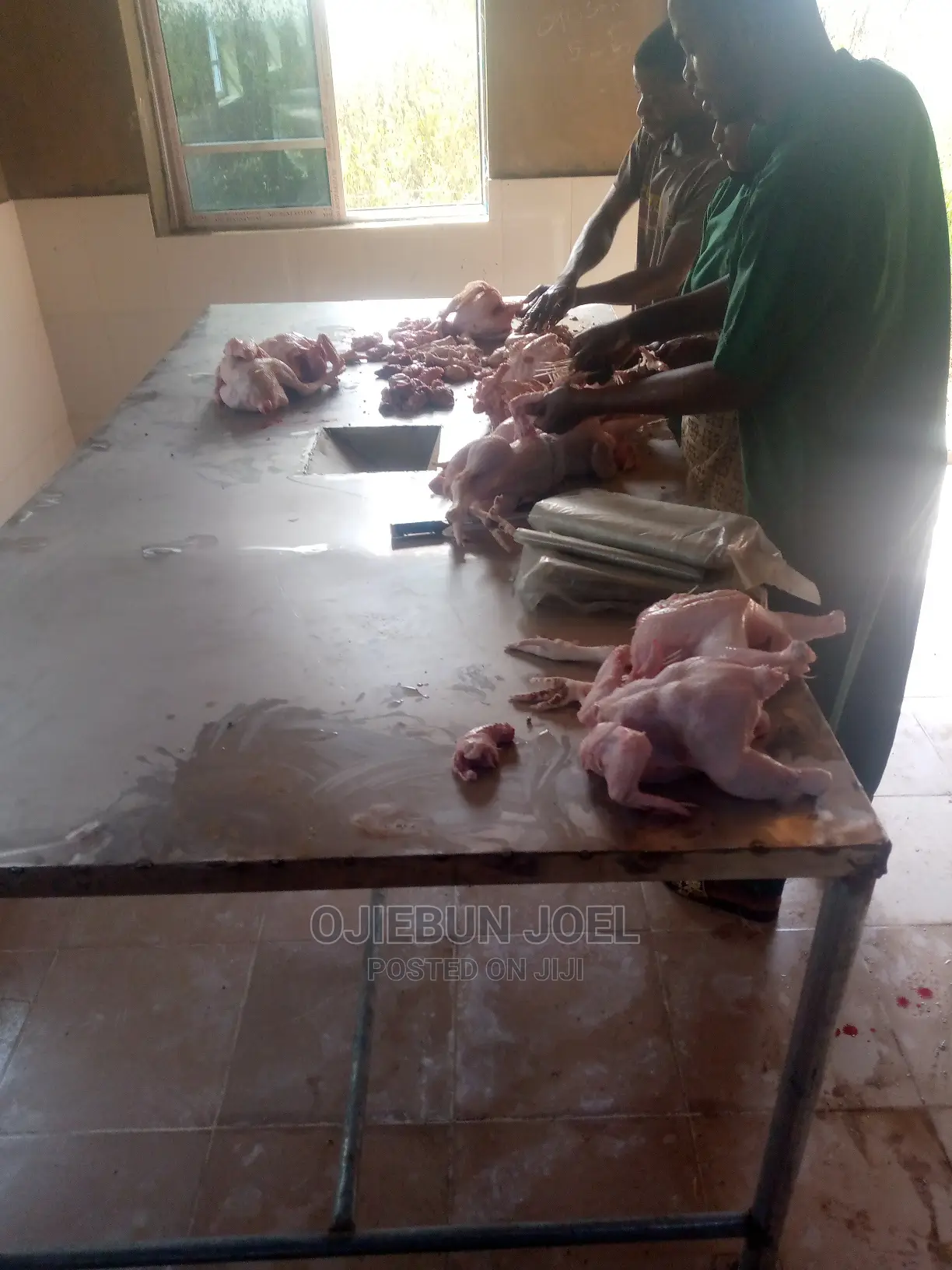 Chicken Eviseration/Packaging Table