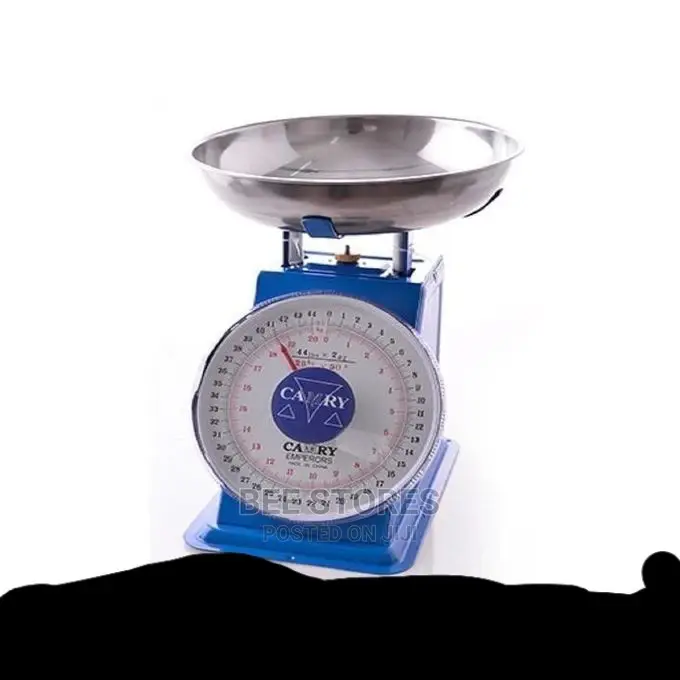 Camry Kitchen Weighing Scale - 20kg