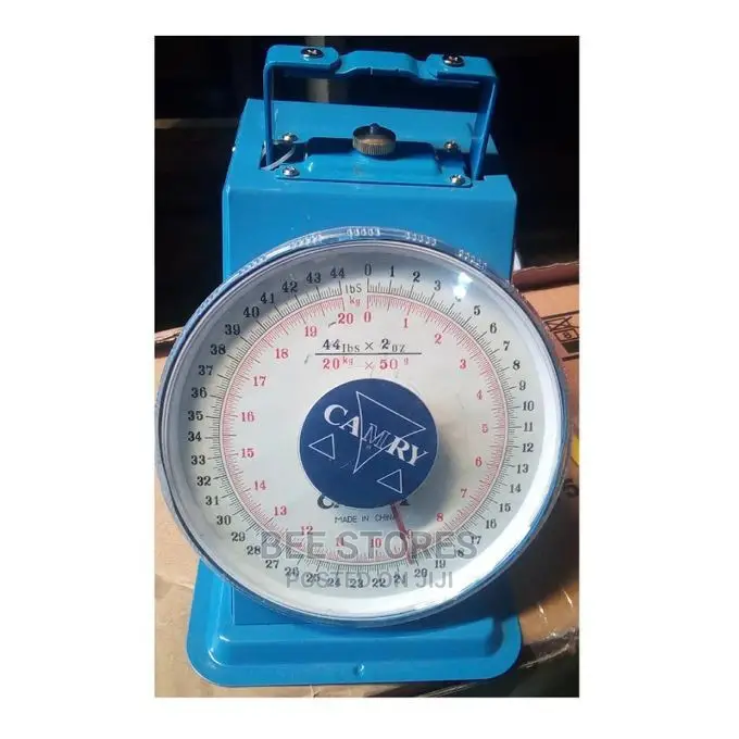 Camry Kitchen Weighing Scale - 20kg