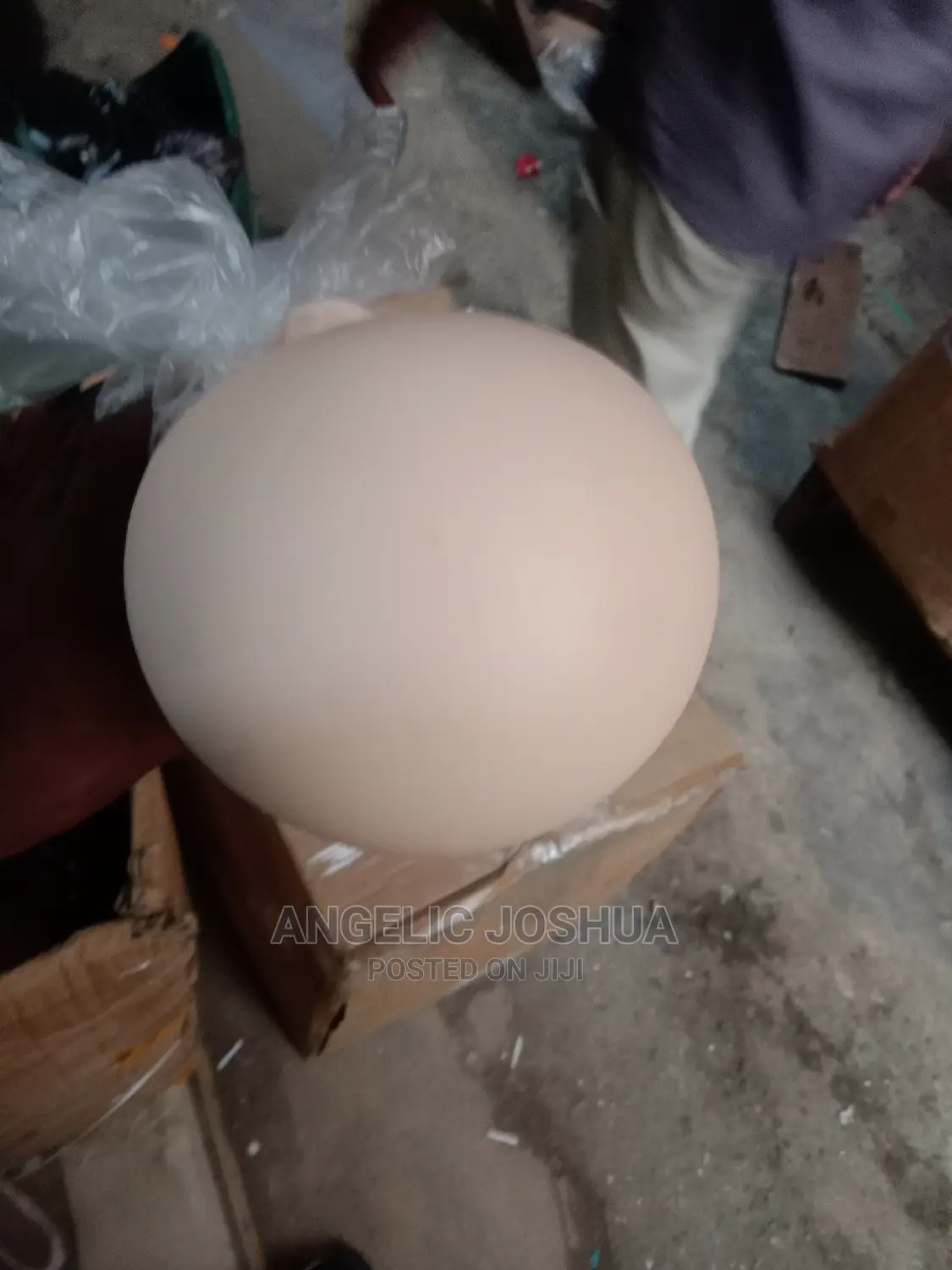 Bald Dummy Skull