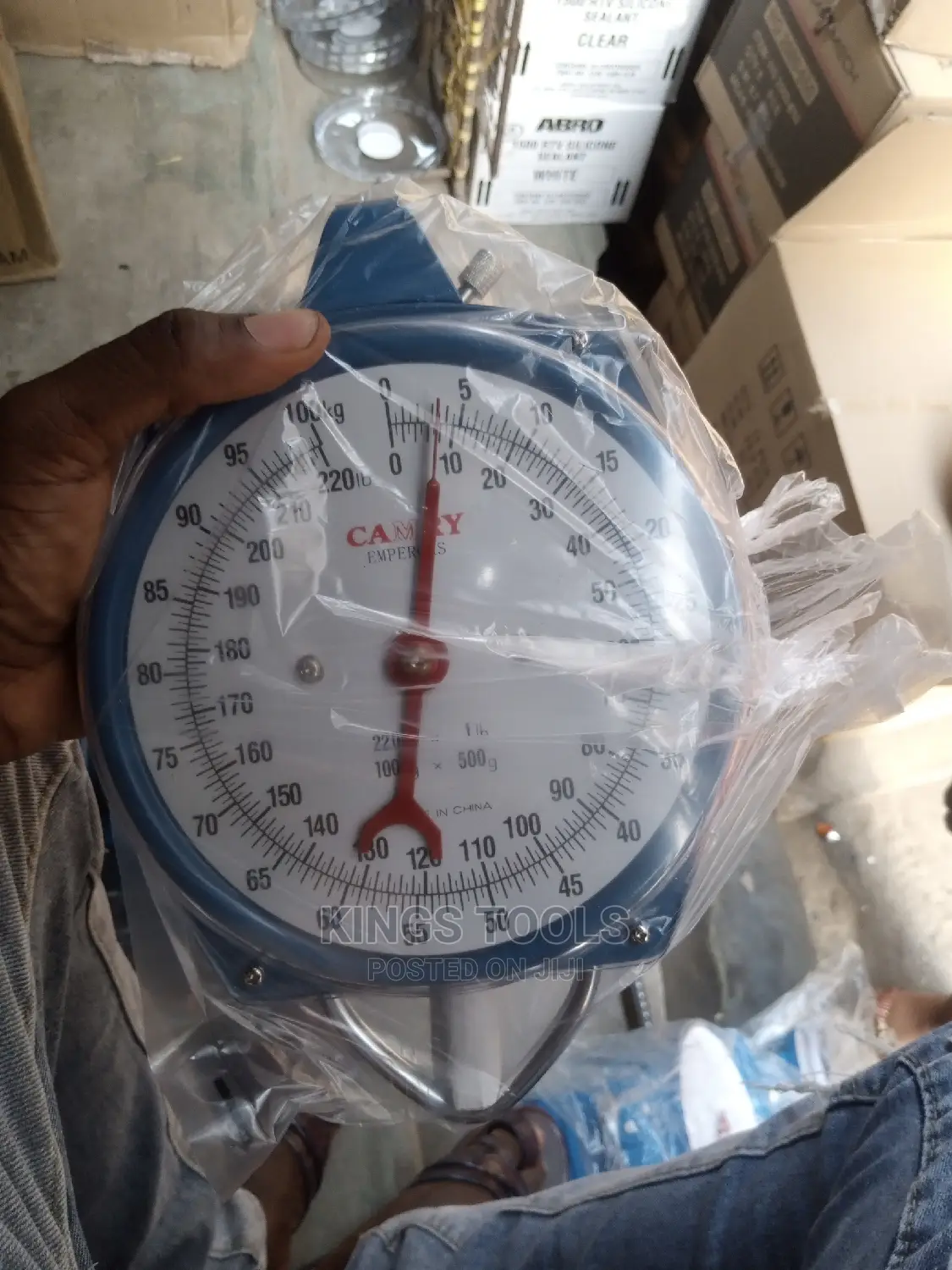 Hanging Scale 100kg