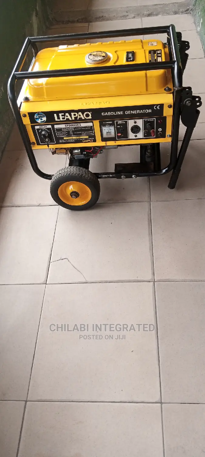 2 Months Old So New 3.5KVA LEAPAQ SPG6800E2 Copper Generator