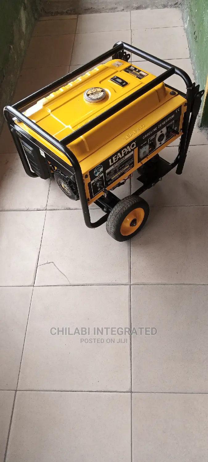 2 Months Old So New 3.5KVA LEAPAQ SPG6800E2 Copper Generator