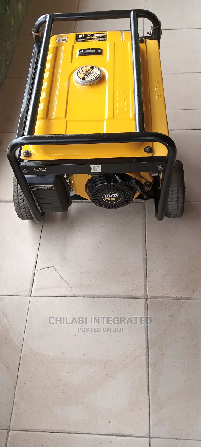2 Months Old So New 3.5KVA LEAPAQ SPG6800E2 Copper Generator