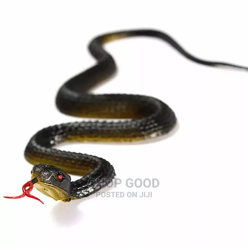 Rubber Snack