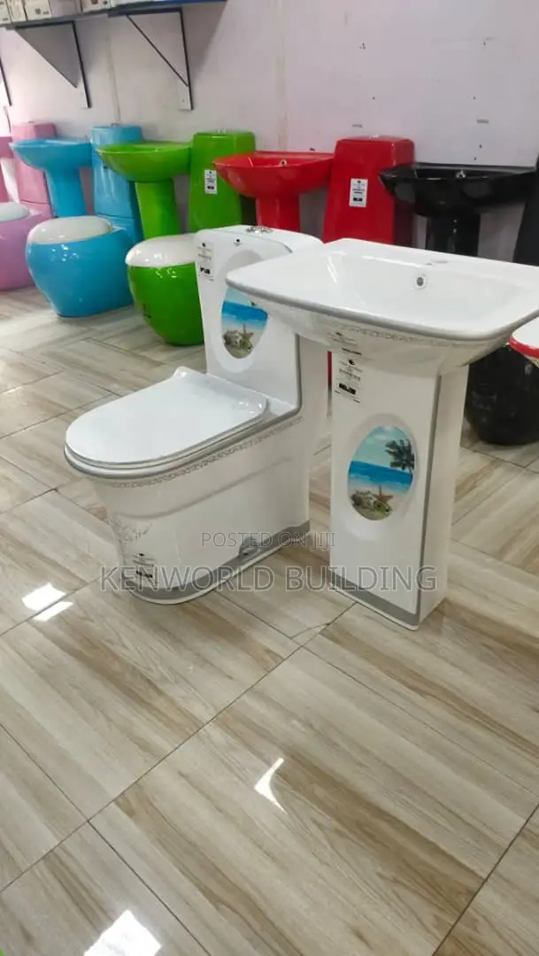 Modern Executive Wc and Wash Hand Basin