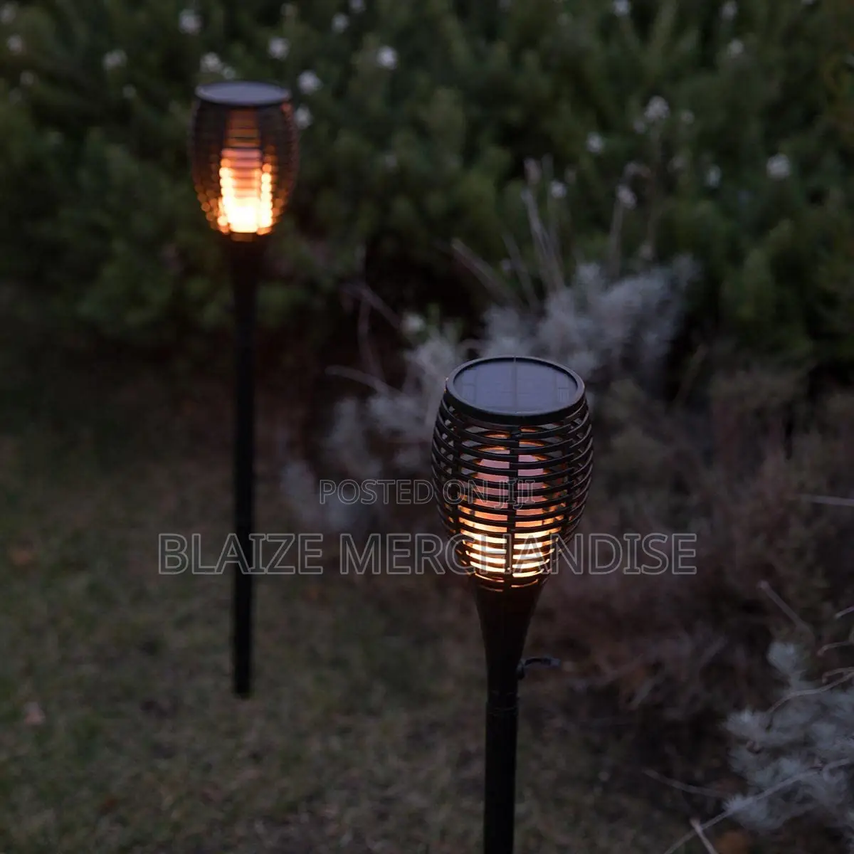 Solar Garden Light