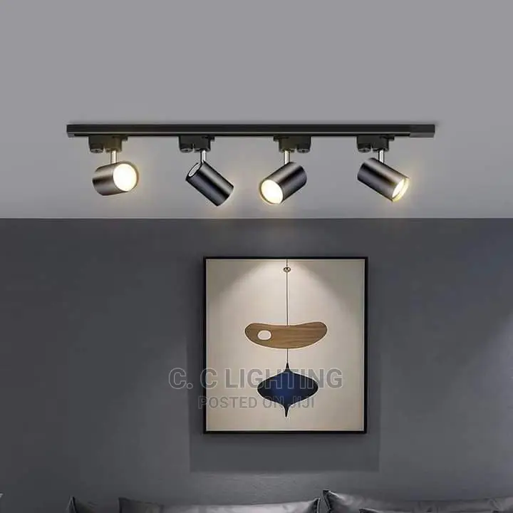 Track Light