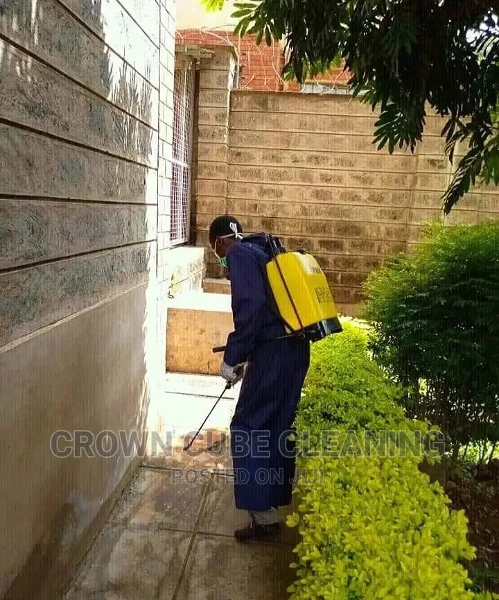 Afford House Cleaning and House Fumigation Services
