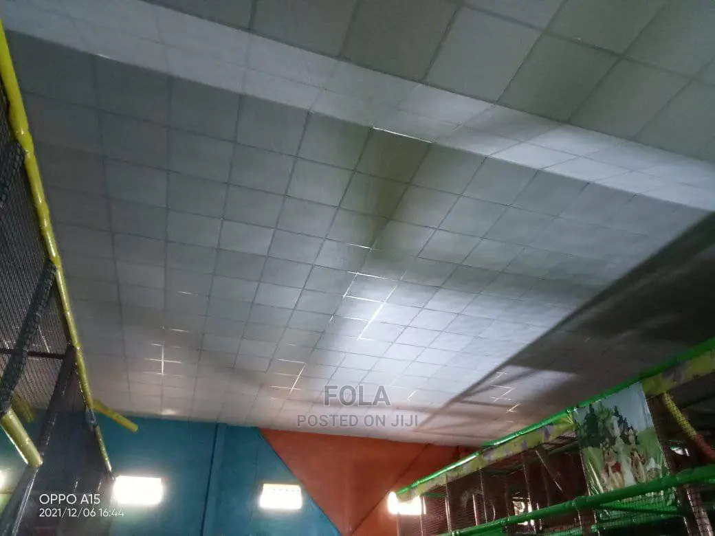 Drop Ceilings (Suspended )