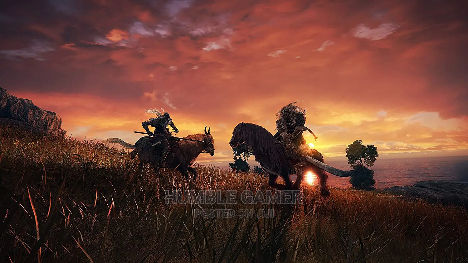 Elden Ring PC and Laptop Game Available